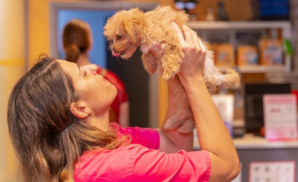 Woman holding puppy