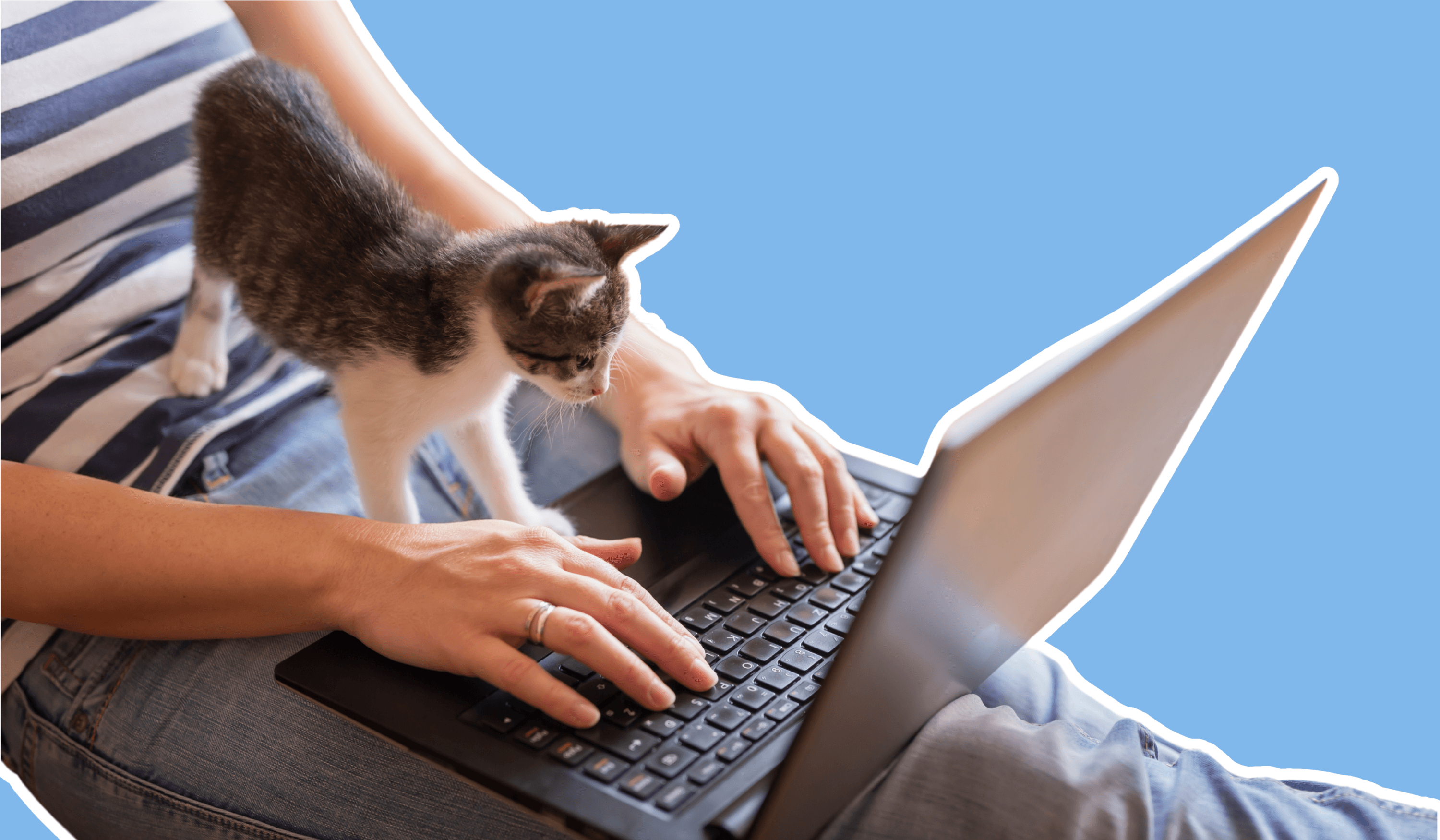 Woman and cat reading laptop