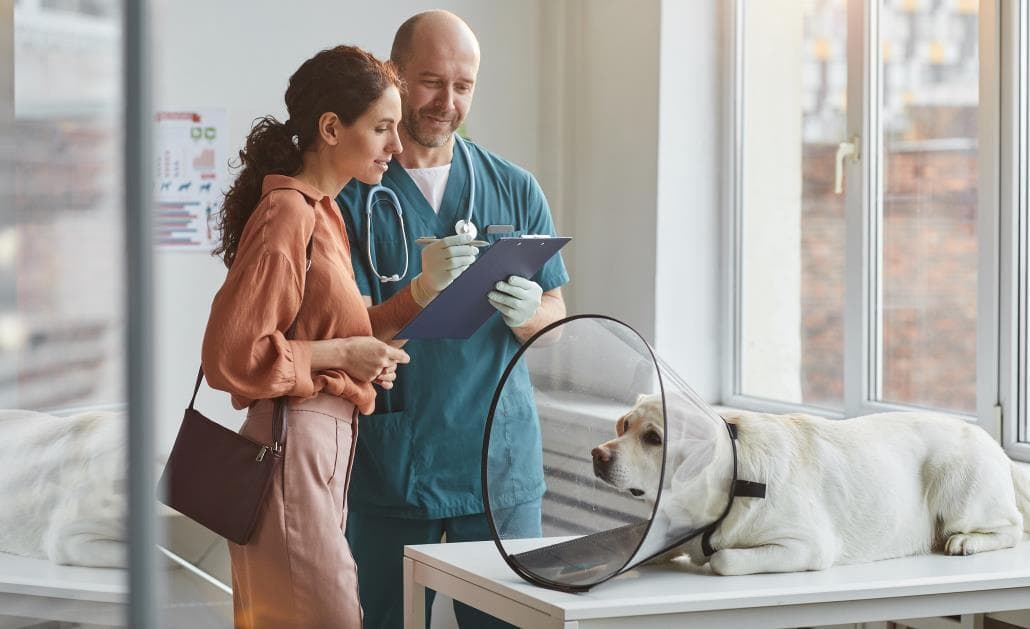 Woman consulting veterinarian