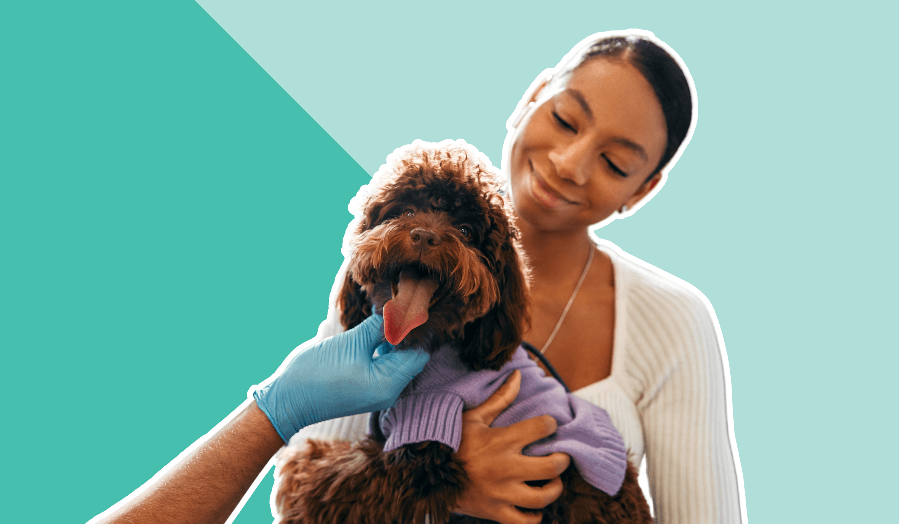 Woman holding happy dog
