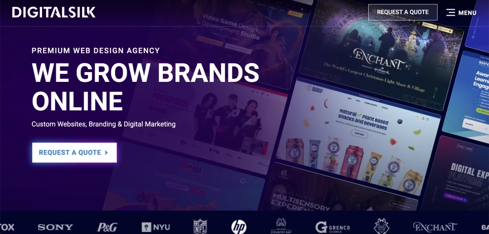 Digital Silk Top Social Media Management Agencies