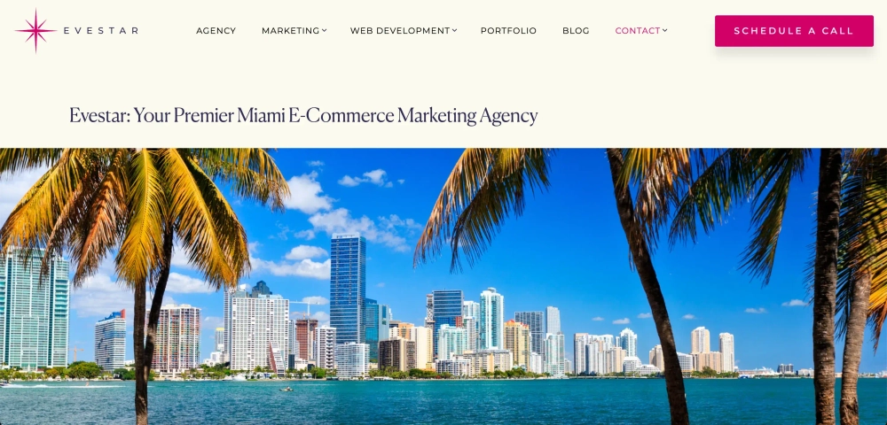 Evestar - Top Digital Marketing Agencies for eCommerce