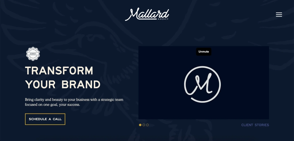 Mallard Agency - Top Creative Social Media Agencies