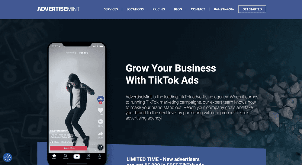 Advertisemint Top TikTok Ads Agencies