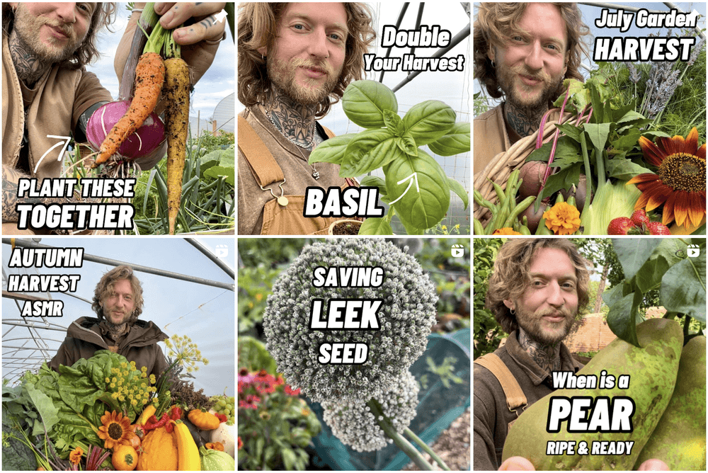 Jamie Walton Top Instagram Gardening Influencers