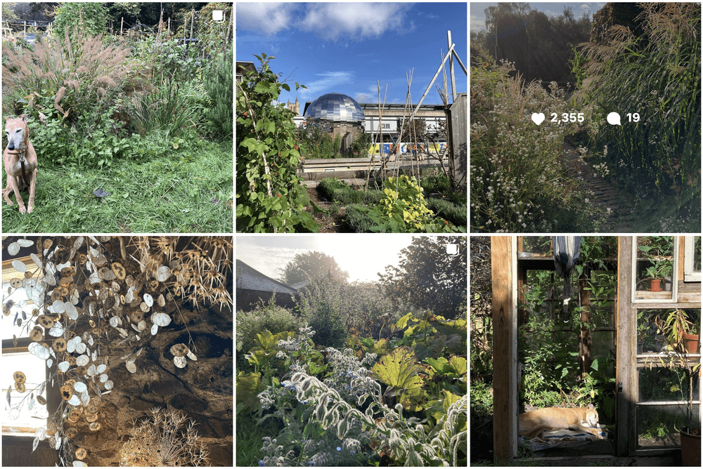 Frances Tophill Top Instagram Gardening Influencers