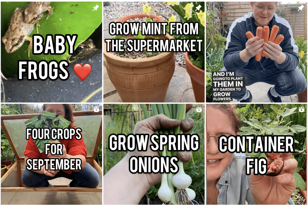 Martha Top Instagram Gardening Influencers
