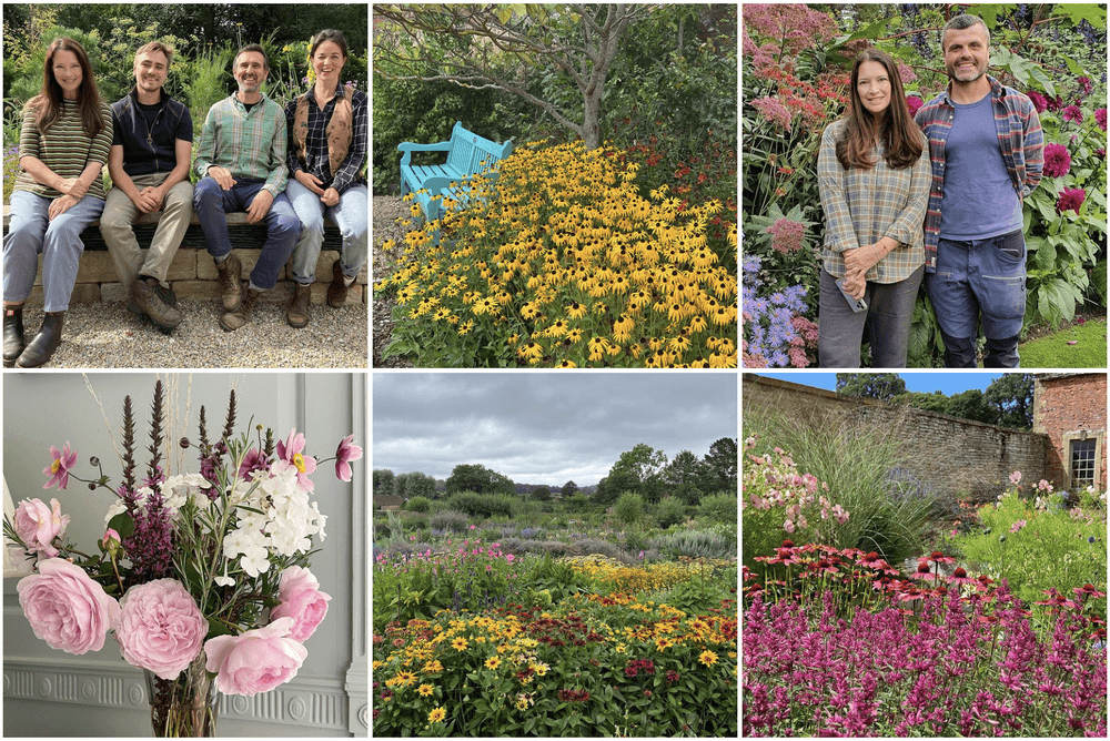 Rachel de Thame Top Instagram Gardening Influencers