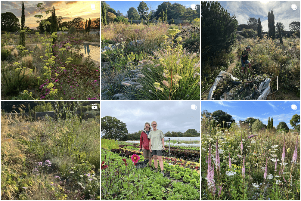 Charlie Harpur Top Instagram Gardening Influencers