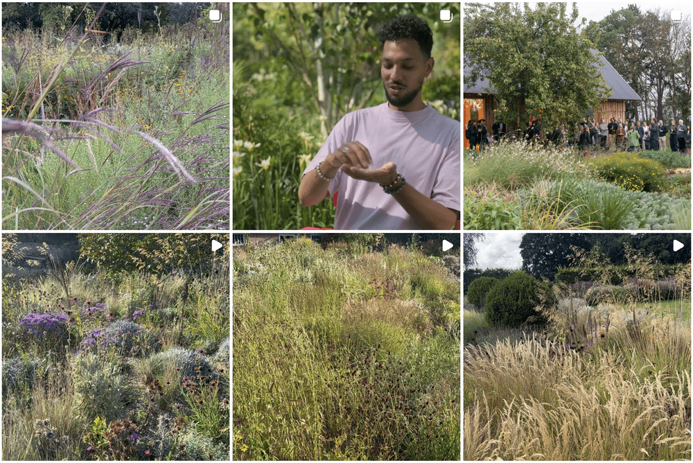 Tom Stuart-Smith Top Instagram Gardening Influencers