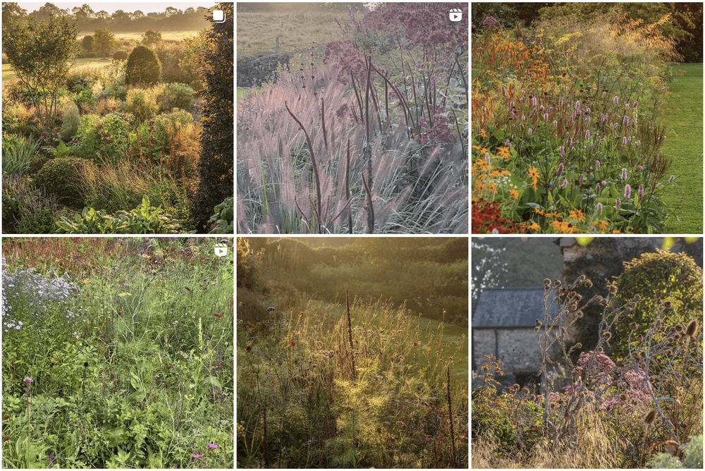 Alasdair Cameron Top Instagram Gardening Influencers