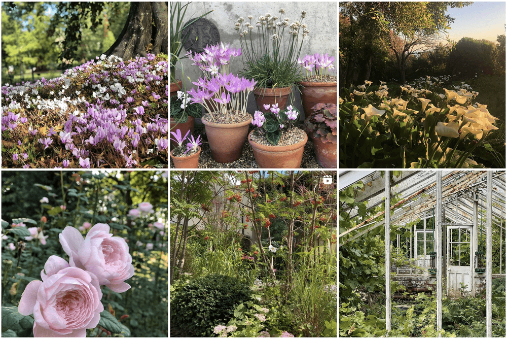 Alexander Hoyle Top Instagram Gardening Influencers