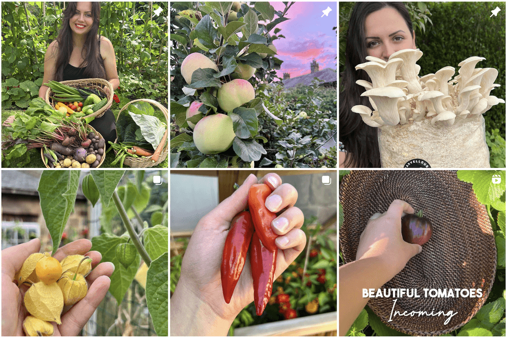 Francesca Chadwick Top Instagram Gardening Influencers