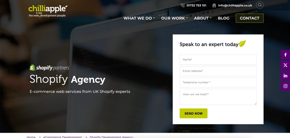 ChilliApple - Shopify App Development