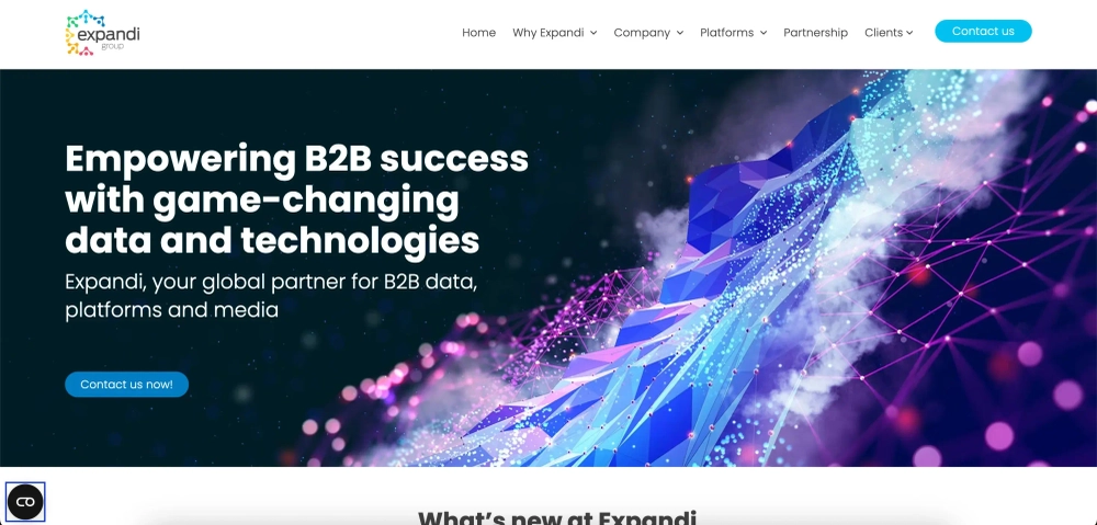 Expandi Group Top Performance Marketing Agencies for SaaS and Tech Brands