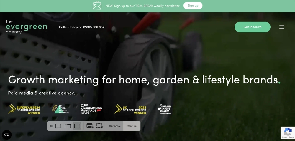 The Evergreen Agency - SEO Specialists for eCommerce brands