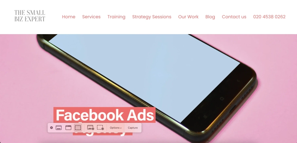 Small Biz Expert - Facebook advertising agency