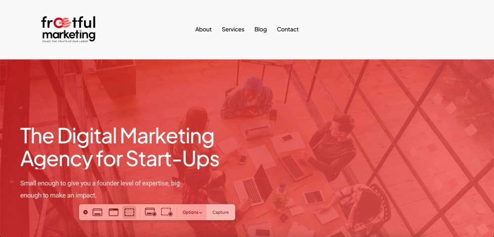 Frootful Marketing Top Performance Marketing Agencies for Small Business & Startups