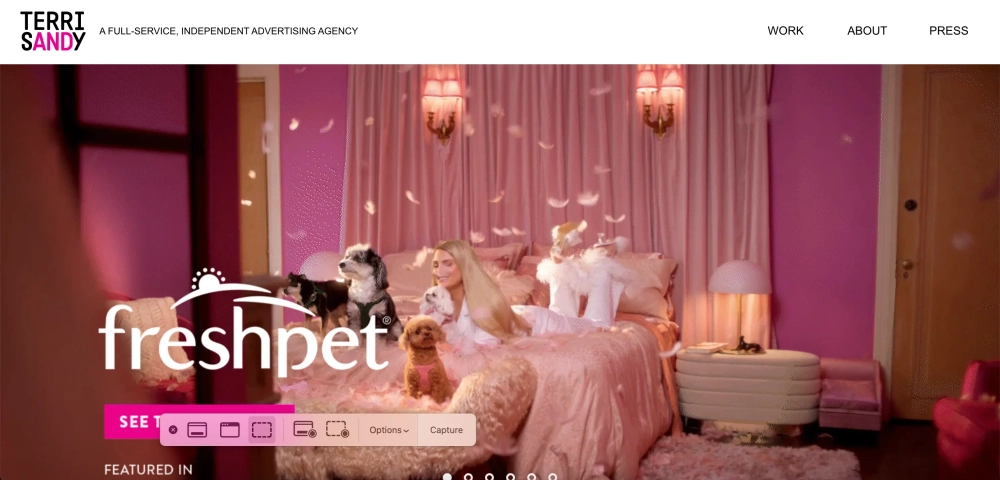 Terri Sandy - New York independent advertising agency