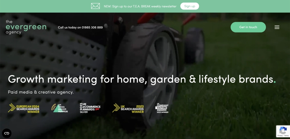 The Evergreen Agency - SEO Specialists for eCommerce brands