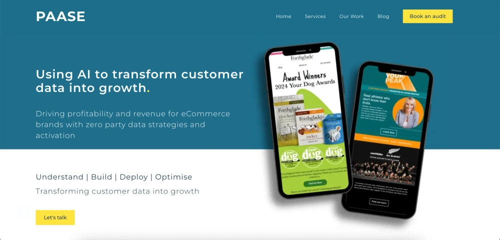 PAASE Digital Top eCommerce Email Marketing Agencies