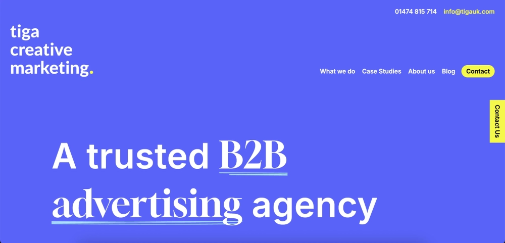 Top Google Ads Agencies for B2B Brands