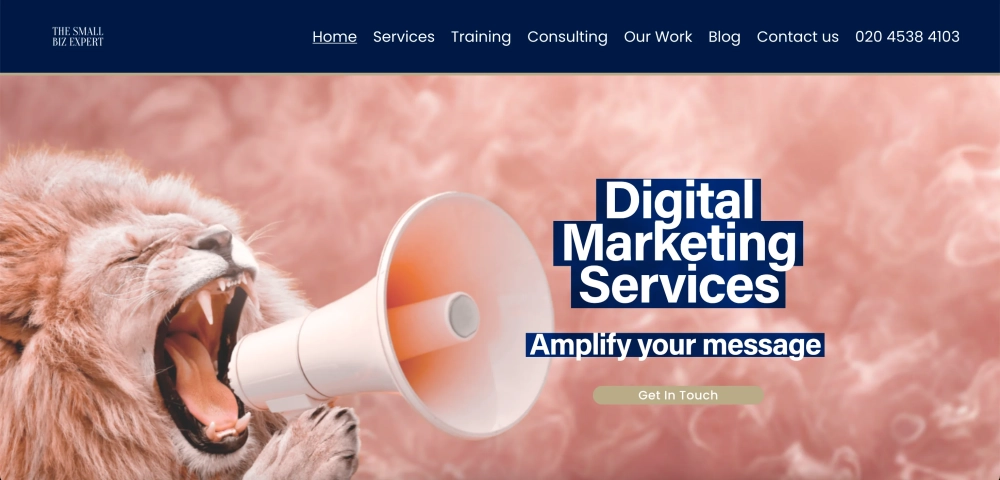 The Small Biz Expert Top Performance Marketing Agencies for Small Businesses