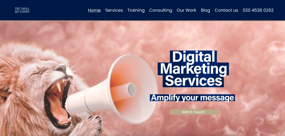 The Small Biz Expert Top DTC Digital Agencies