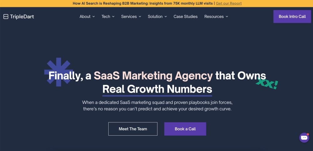 Triple Dart Top SaaS Performance Marketing Agencies