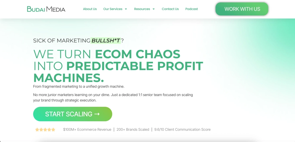 Budai Media Top eCommerce Email Marketing Agencies