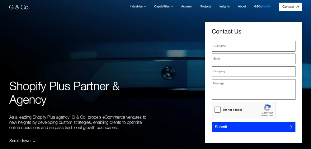 Top eCommerce Web Design & Development Agencies