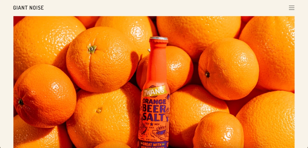 Giant Noise - Top Social & PR Agencies