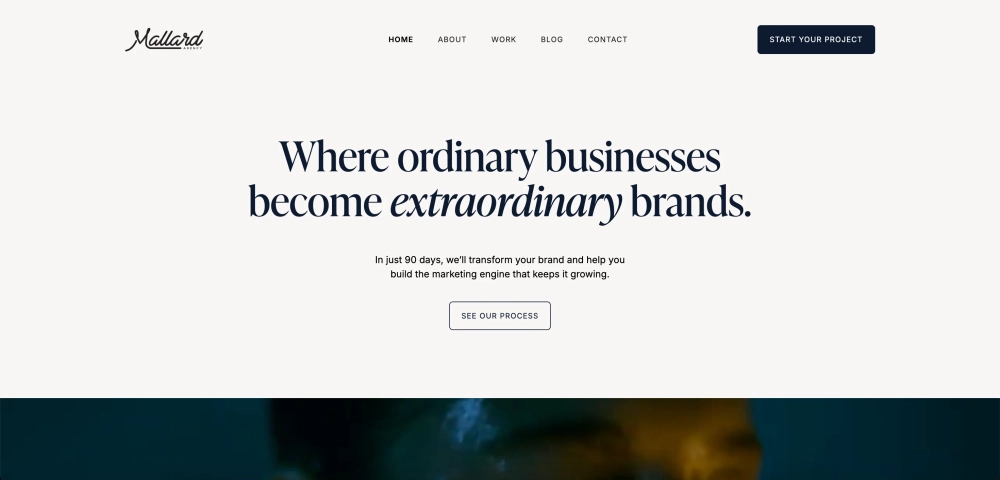 Mallard Agency - Top Creative Social Media Agencies