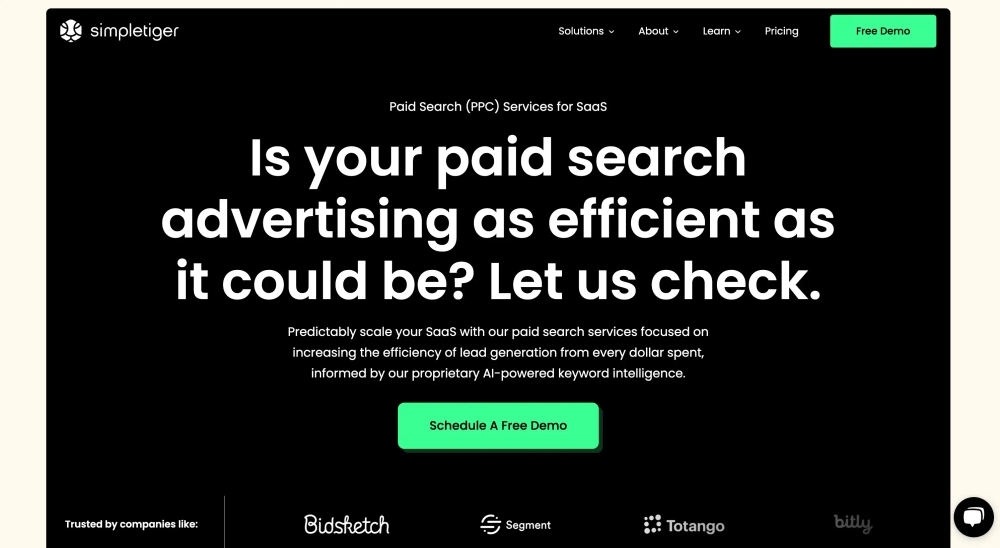 Simple Tiger Google Ads for SaaS & Technology Brands