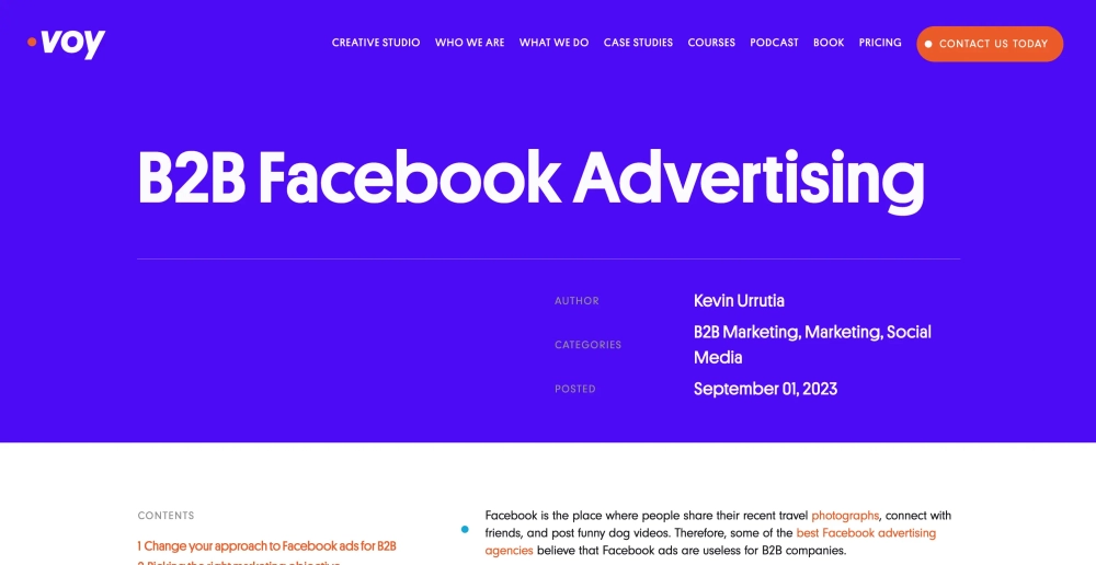 Voy Media Top Facebook Ads Agency for B2B