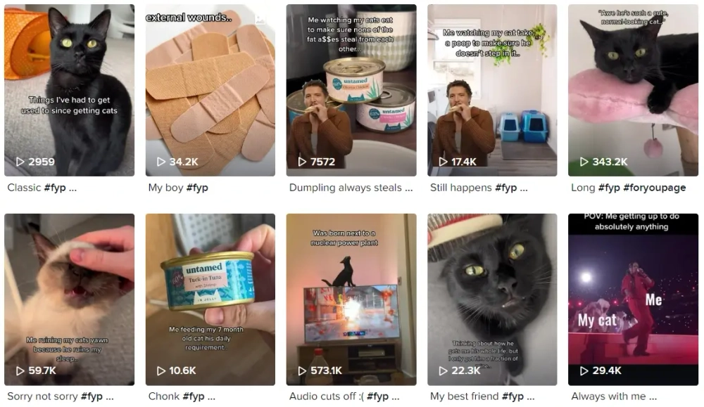 Marmite & Toast Best TikTok Pets Influencers in the UK