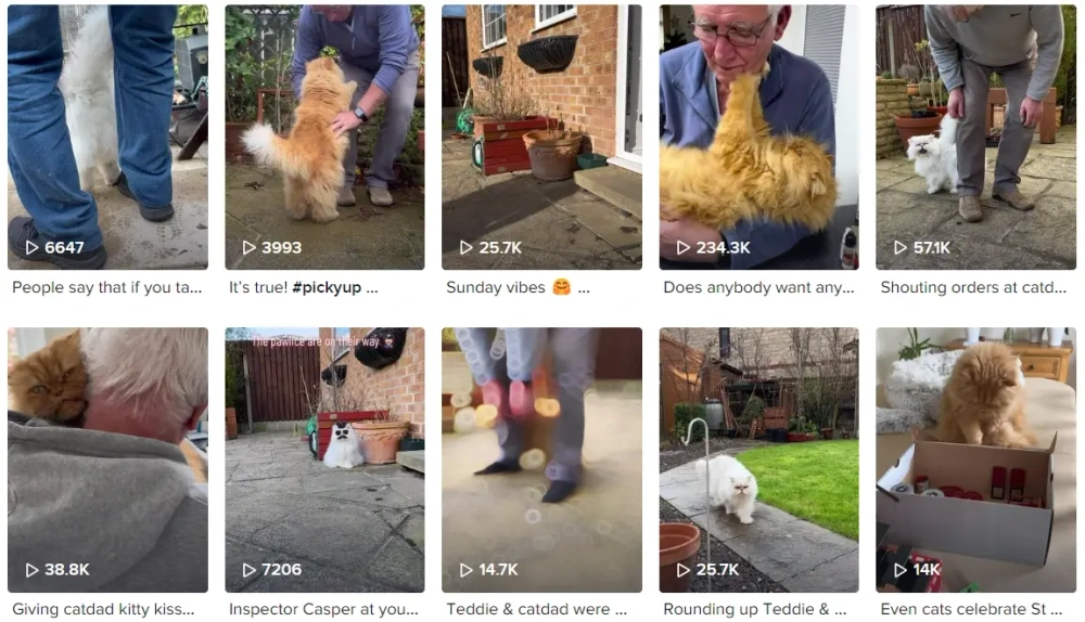 Casper & Teddie Best TikTok Pets Influencers in the UK