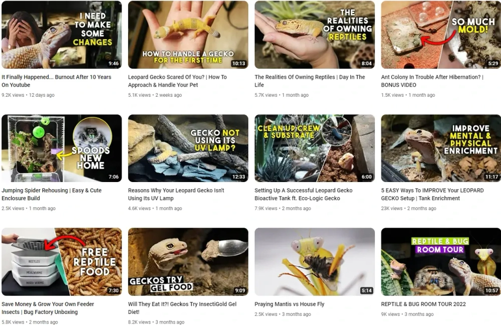 Rebecca Best YouTube Pets Influencers in the UK