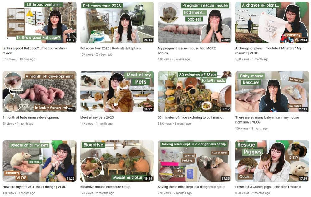 Emi Best YouTube Pets Influencers in the UK