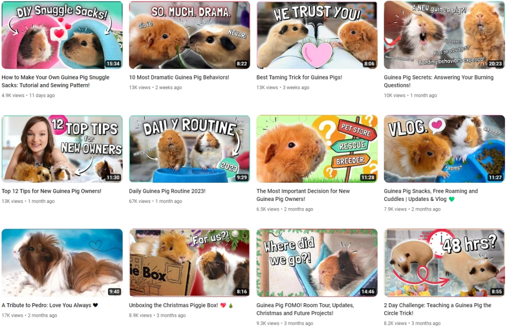 Sarah Best YouTube Pets Influencers in the UK