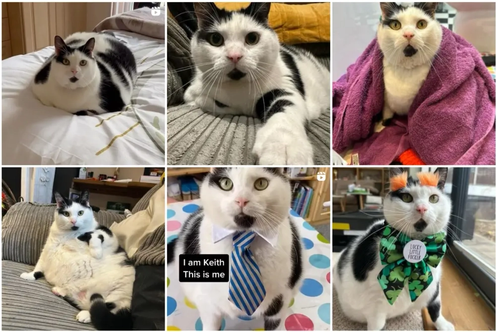 Sarah Matthews Best Instagram Pets Influencers in the UK