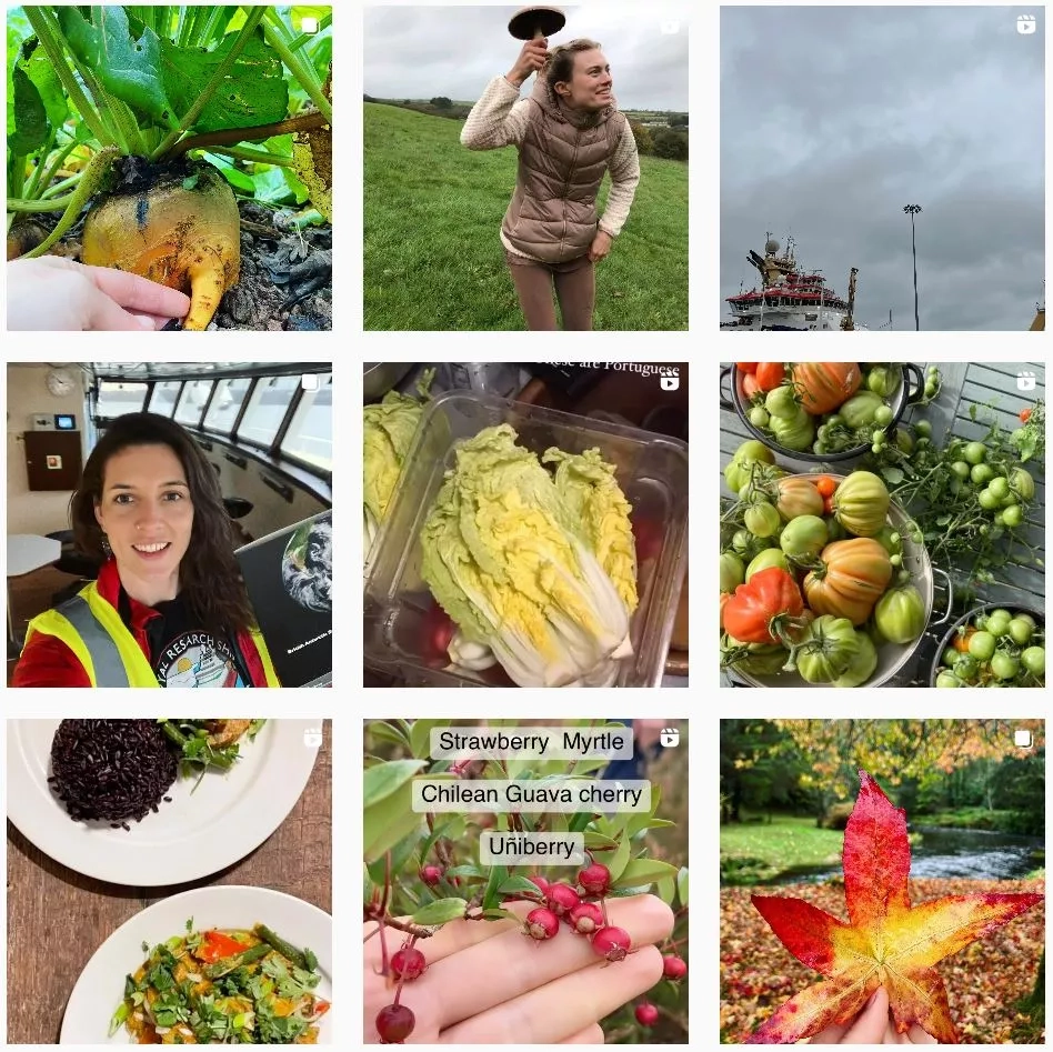The Sustainable Food Story Sustainable, Eco & Ethical Influencer