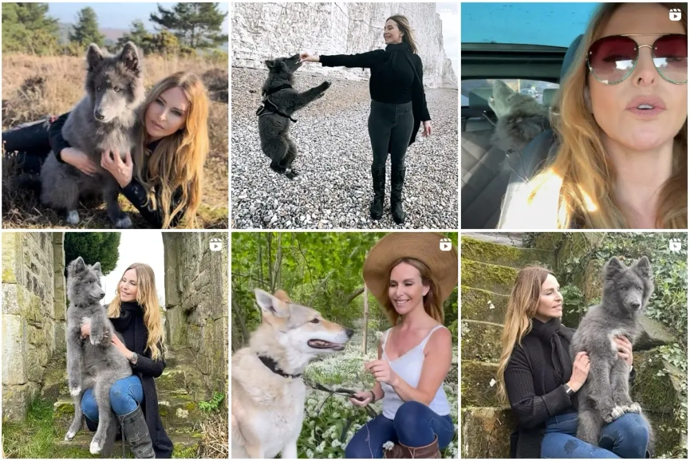 Anneka Svenska Best Instagram Pets Influencers in the UK