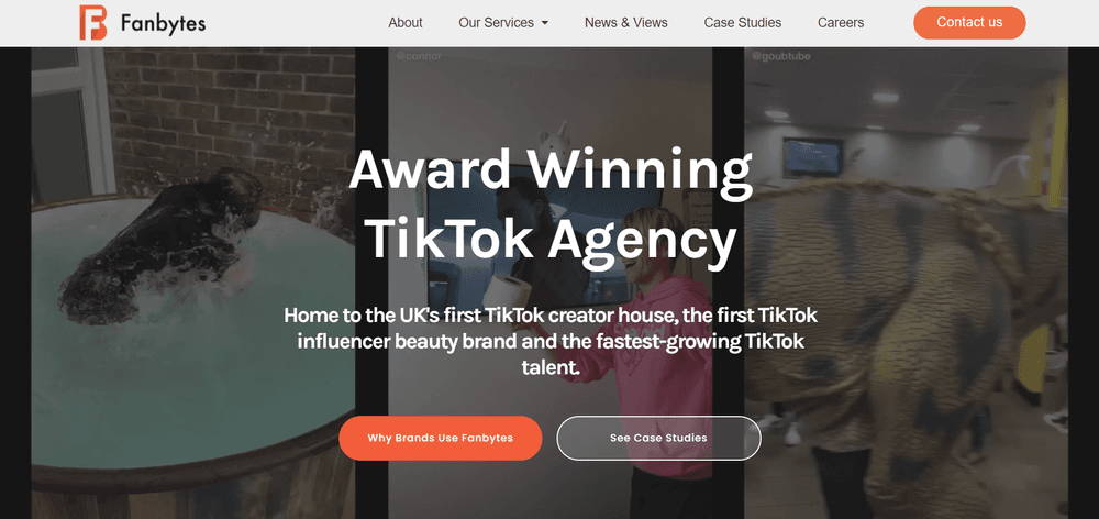 Top TikTok Influencer Agency