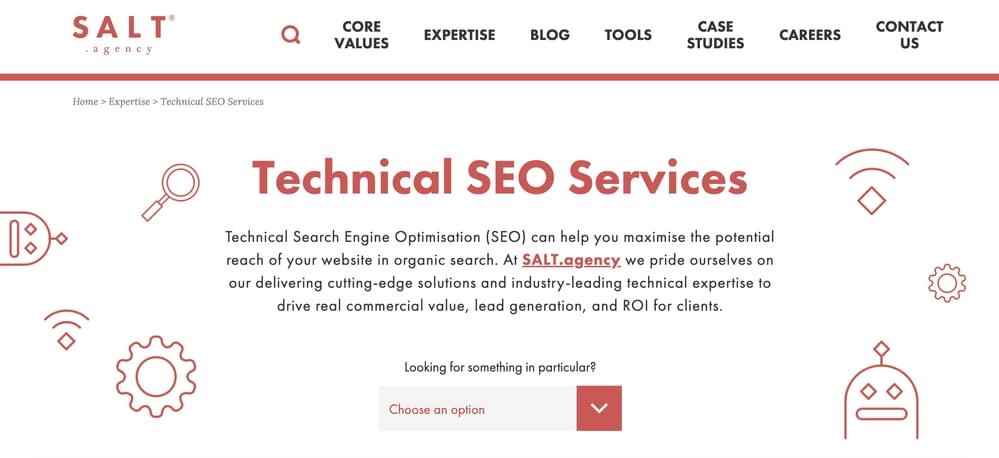 Salt - Technical SEO Agency