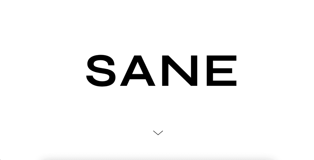 Sane Communications Top Fashion PR Agencies