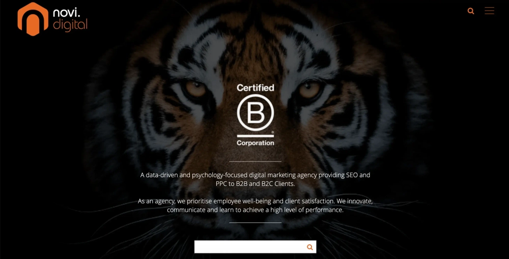 NOVI Top Google Ads Agencies for B2B Brands