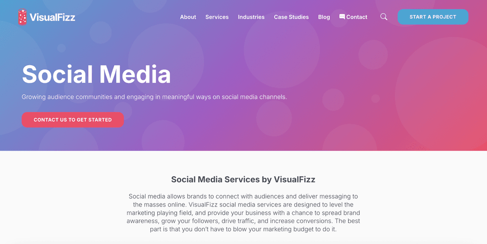 VisualFizz - Social Media Marketing Agency Chicago