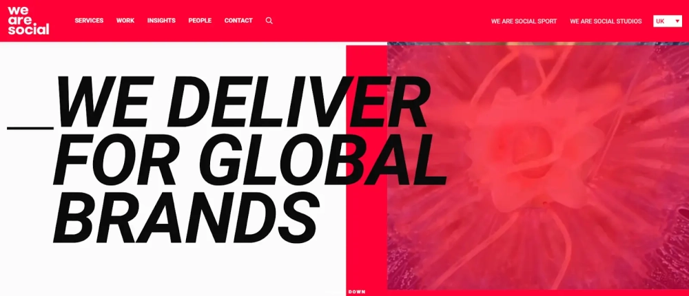 We Are Social - DTC Agency