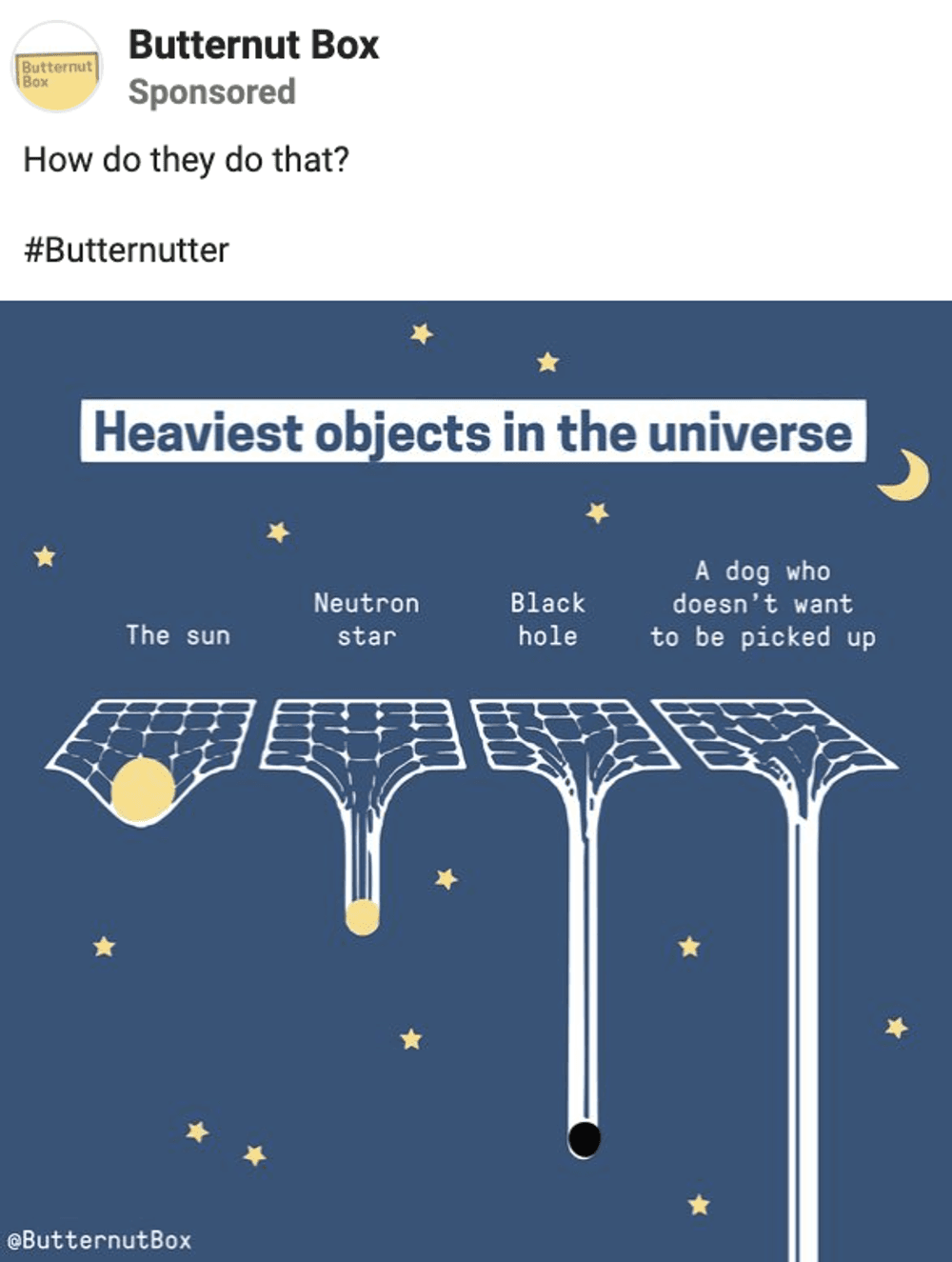 Facebook single image ads pets brand